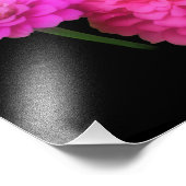 Rosa Zinnia Blume Pair Nah 8 x 10 Fotodruck (Ecke)