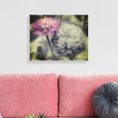 Rosa Zinnia-Blume Schwarz-Weiß Leinwanddruck (Insitu (Wohnzimmer))