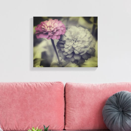 Rosa Zinnia-Blume Schwarz-Weiß Leinwanddruck (Insitu (Wohnzimmer))
