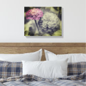 Rosa Zinnia-Blume Schwarz-Weiß Leinwanddruck (Insitu (Schlafzimmer))