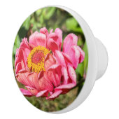 Rosa Zinnia mit gelber Mittellaufruge Keramikknauf (Rechts)