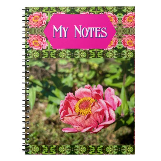 Rosa Zinnia mit gelber Mittellaufruge Notizblock (Vorderseite)