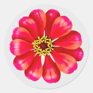 Rosa Zinnia Runder Aufkleber