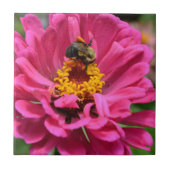 Rosa Zinnia und Hummel Fliese (Vorderseite)