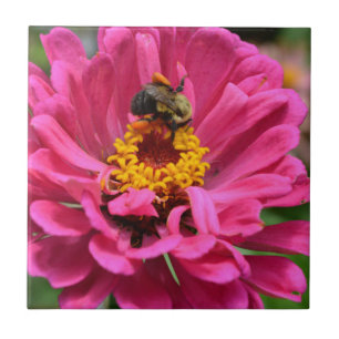 Rosa Zinnia und Hummel Fliese