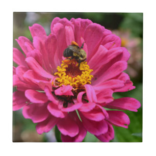 Rosa Zinnia und Hummel Fliese