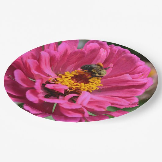 Rosa Zinnia und Hummel Pappteller (Schrägansicht)
