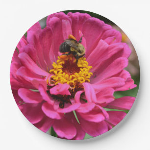 Rosa Zinnia und Hummel Pappteller