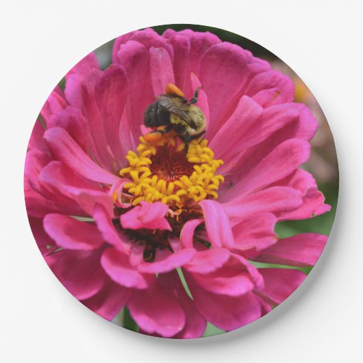 Rosa Zinnia und Hummel Pappteller (Vorderseite)