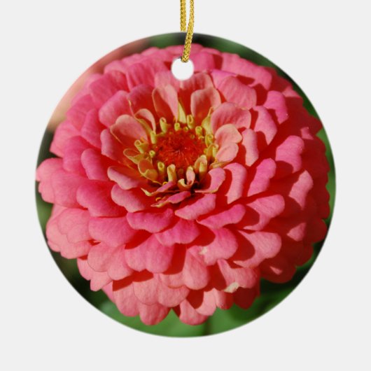 Rosa Zinniaverzierung Keramikornament (Vorne)