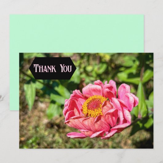 Rosa Zinnie mit gelber Mitte Dankeskarte (Vorne/Hinten)