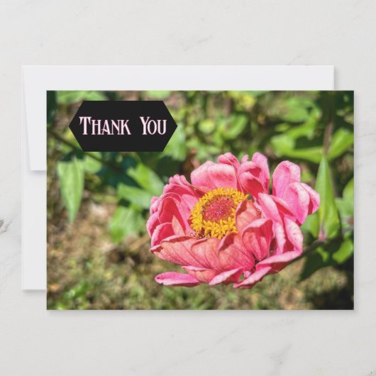 Rosa Zinnie mit gelber Mitte Dankeskarte (Vorderseite)
