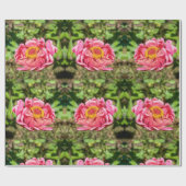 Rosa Zinnie mit gelber Mitte Geschenkpapier (Flach)