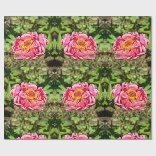 Rosa Zinnie mit gelber Mitte Geschenkpapier (Flach)