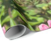 Rosa Zinnie mit gelber Mitte Geschenkpapier (Rolleneckpunkt)