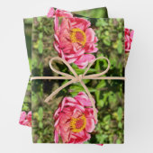 Rosa Zinnie mit gelber Mitte Geschenkpapier Set (Beispiel)