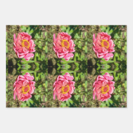 Rosa Zinnie mit gelber Mitte Geschenkpapier Set