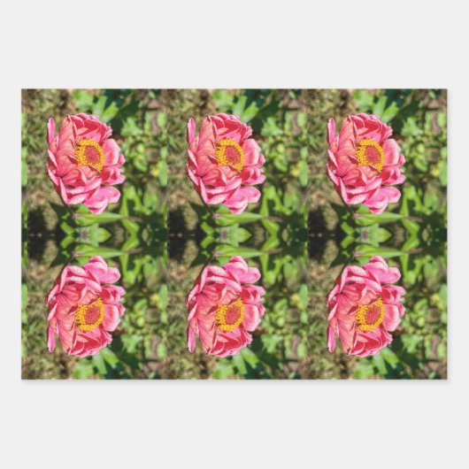 Rosa Zinnie mit gelber Mitte Geschenkpapier Set (Vorderseite)