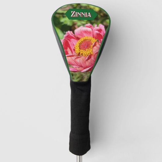Rosa Zinnie mit gelber Mitte Golf Headcover (Vorderseite)