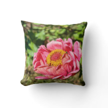 Rosa Zinnie mit gelber Mitte