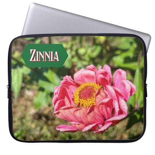Rosa Zinnie mit gelber Mitte Laptopschutzhülle (Vorderseite)
