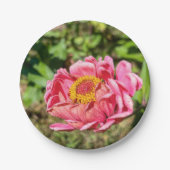 Rosa Zinnie mit gelber Mitte Pappteller (Vorderseite)