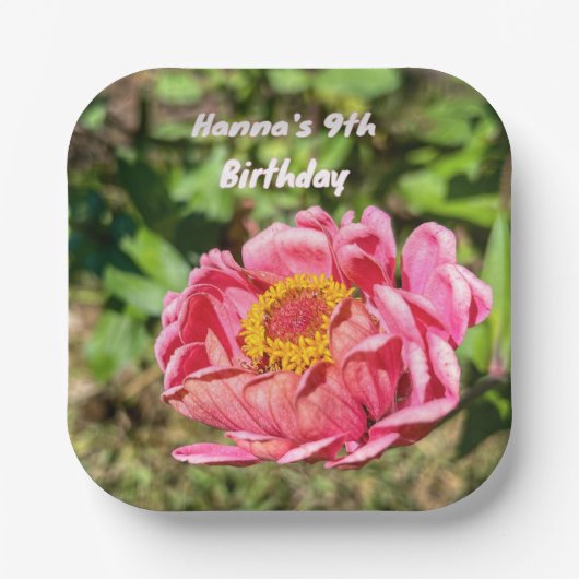 Rosa Zinnie mit gelber Mitte Pappteller (Vorderseite)