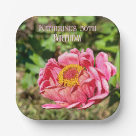 Rosa Zinnie mit gelber Mitte Pappteller