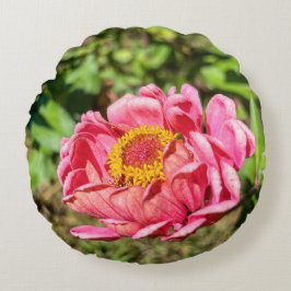 Rosa Zinnie mit gelber Mitte Rundes Kissen