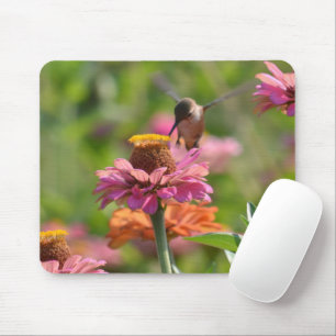 Rosa Zinnienblumen Kolibri Fotografie Mousepad