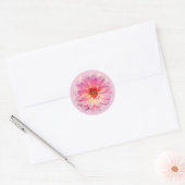 Rosa Zinnienblüte Runder Aufkleber (Umschlag)