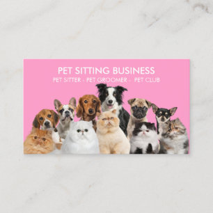 Rosa Zuhause Haustiere Hunde Katzen Visitenkarte