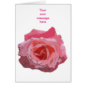 RosaCartoon. (Vorne)