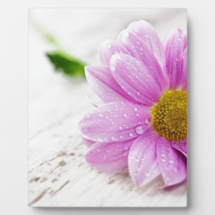 Rosafarbene Blume Fotoplatte