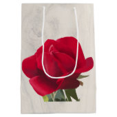 Rosafarbene Mittlere Geschenktüte (Rückseite)