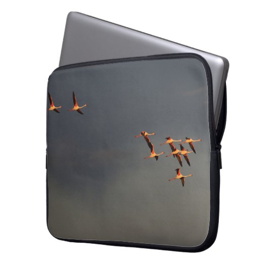 Rosafarbene Motiv-Computerhaube Laptopschutzhülle (Vorderseite Links)