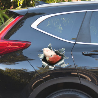Rosafarbener Galah-Papageien-Aufkleber – Australis Aufkleber