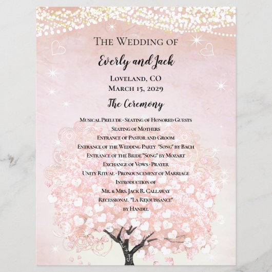 Rosafarbenes Märchen-Hochzeitsprogramm (Vorderseite)