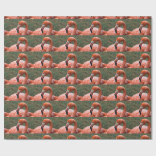 Rosaflamingo Geschenkpapier