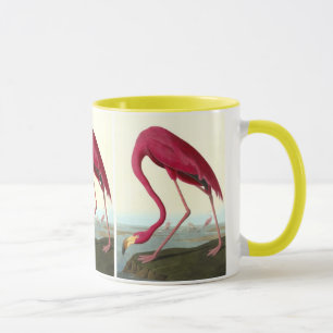 Rosaflamingo, John James Audubon Tasse