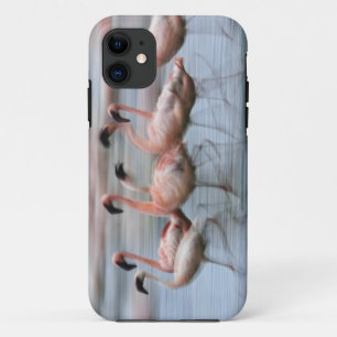 Rosaflamingos in Bewegung, Phoenicopterus Case-Mate iPhone Hülle