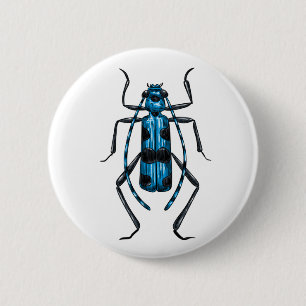Rosalia Alpina Käfer Button