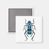 Rosalia Alpina Käfer Magnet (Vorderseite/Rückseite)