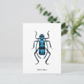Rosalia Alpina Käfer Postkarte (Stehend Vorderseite)