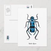 Rosalia Alpina Käfer Postkarte (Vorne/Hinten)