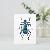 Rosalia Alpina Käfer Postkarte (Stehend Vorderseite)