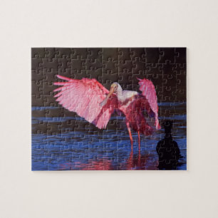 Rosalöffler (Ajaia ajaja) mit Kormoran Puzzle