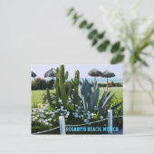 Rosarito Beach, Mexiko (Cacti) Postkarte (Stehend Vorderseite)