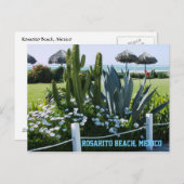 Rosarito Beach, Mexiko (Cacti) Postkarte (Vorne/Hinten)