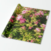 Rosarium Geschenkpapier (Ungerollt)